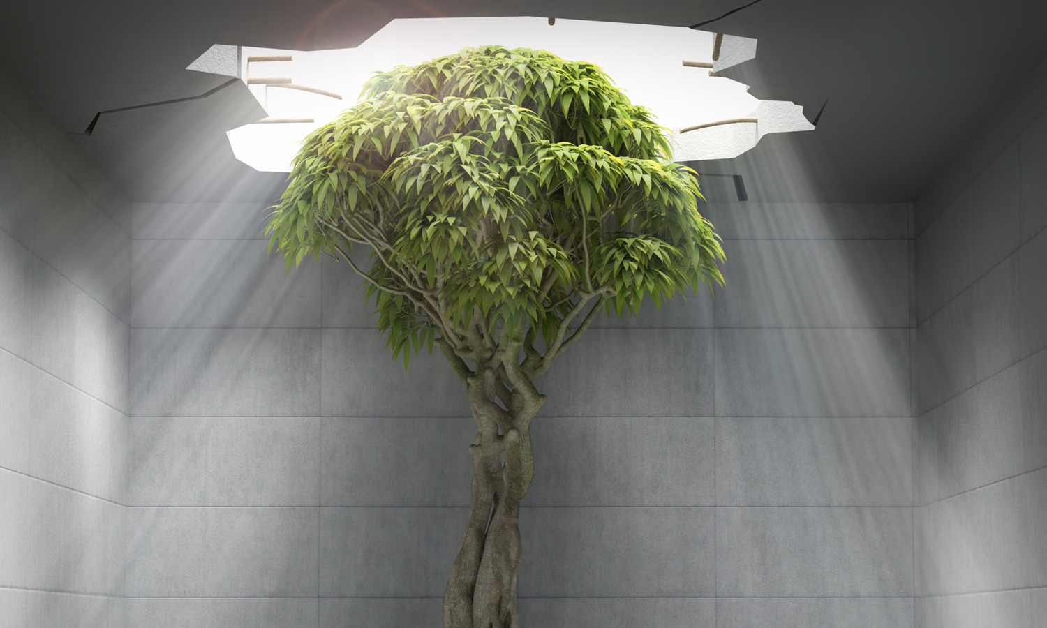 Perch&eacute; scegliere Fugacemente